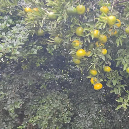 Domus Dea Hébergement de vacances