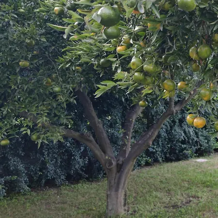 Hébergement de vacances Domus Dea