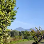 Domus Dea Casa vacanze