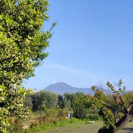 Domus Dea Casa vacanze