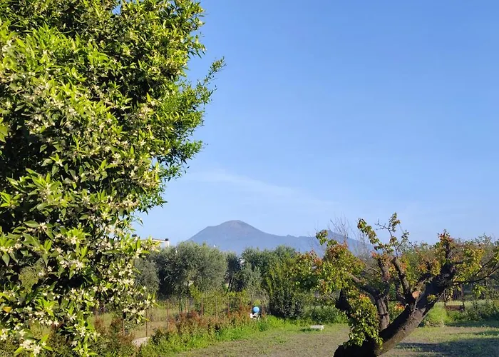 Domus Dea Casa vacanze