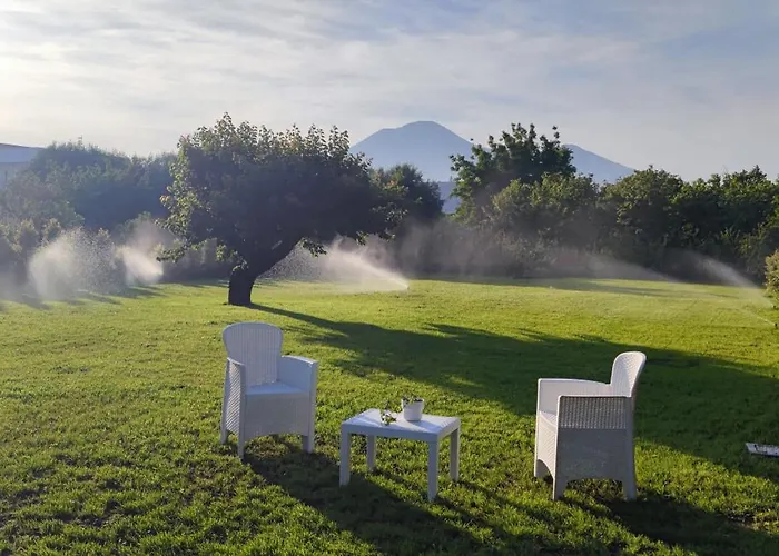 Domus Dea פומפיי