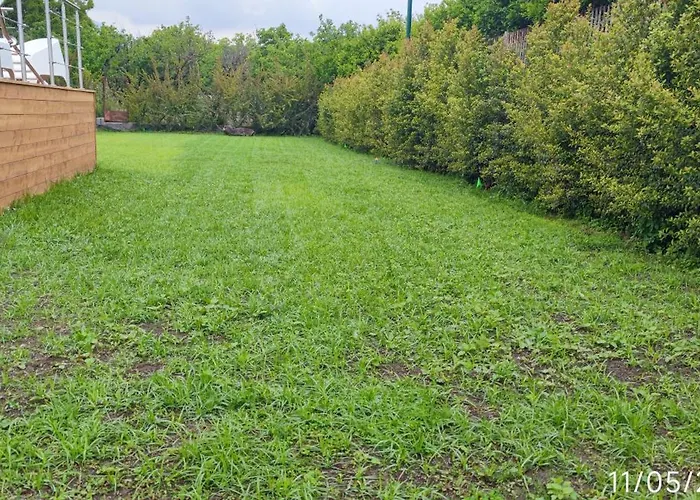 Domus Dea Casa vacanze