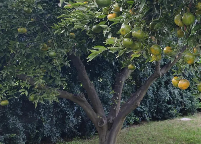 Casa vacanze Domus Dea